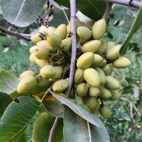 I800X500_981128273705